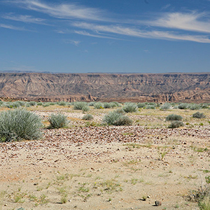 Grunau Landscapes 01