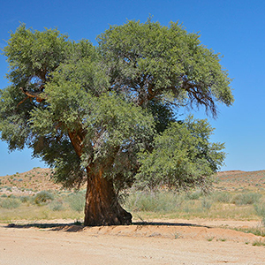 Grunau Scenery 01